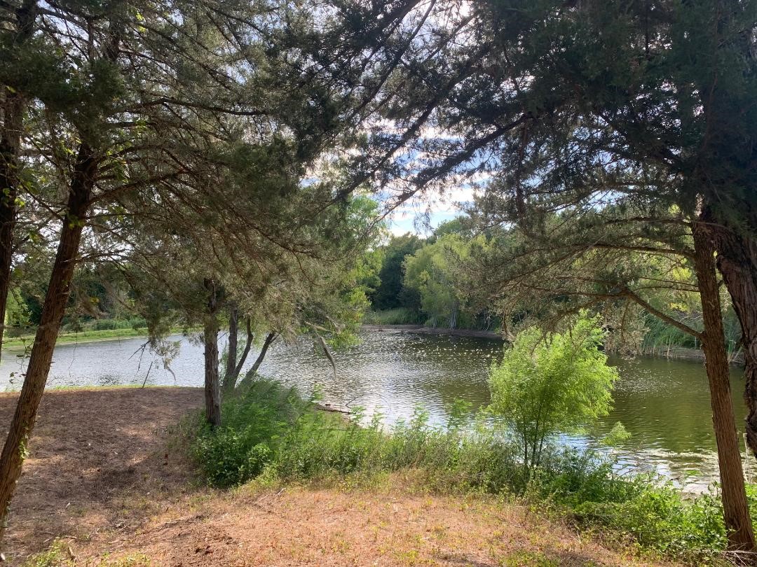 129 Legacy Boulevard Point Blank, TX 77364 - Photo 5 of 11 a view of a yard with a tree