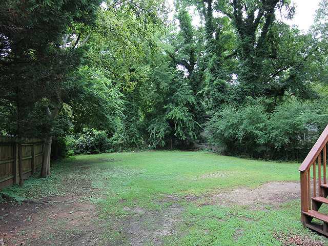 609 Latta Street Raleigh, NC 27607 - Photo 12 of 13 a view of a garden with a tree