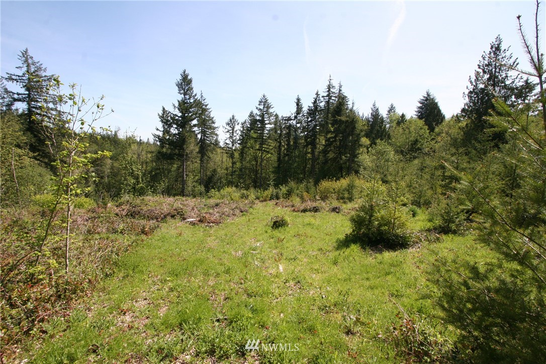 3687 Cooks Hill Road Centralia, WA 98531 - Photo 1 of 10 Gallery Image 1