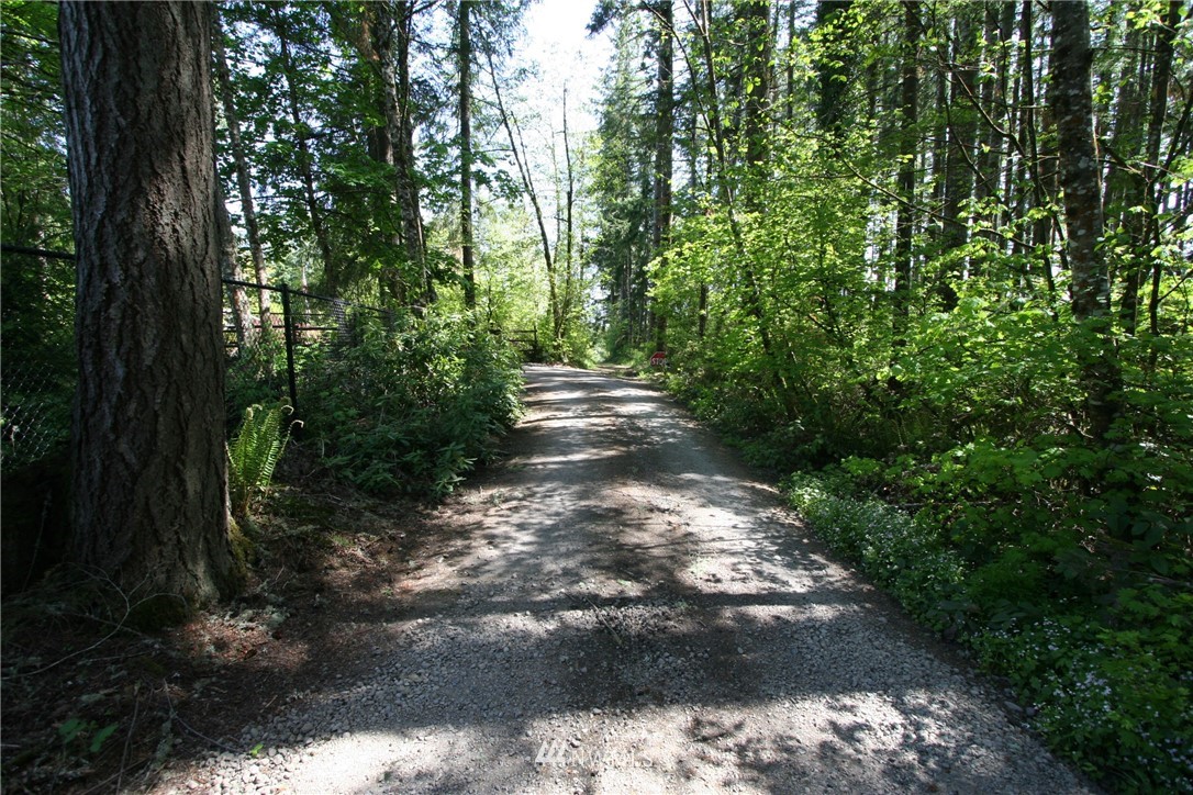 3687 Cooks Hill Road Centralia, WA 98531 - Photo 3 of 10 Gallery Image 3