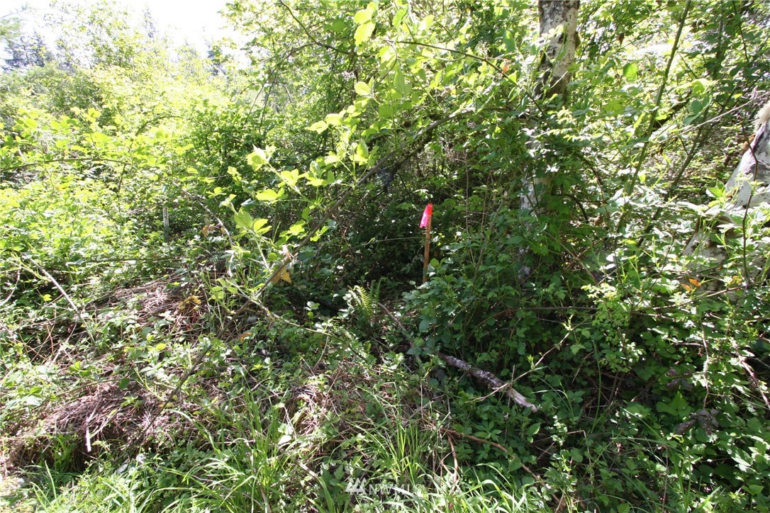 3687 Cooks Hill Road Centralia, WA 98531 - Photo 5 of 10 Gallery Image 5