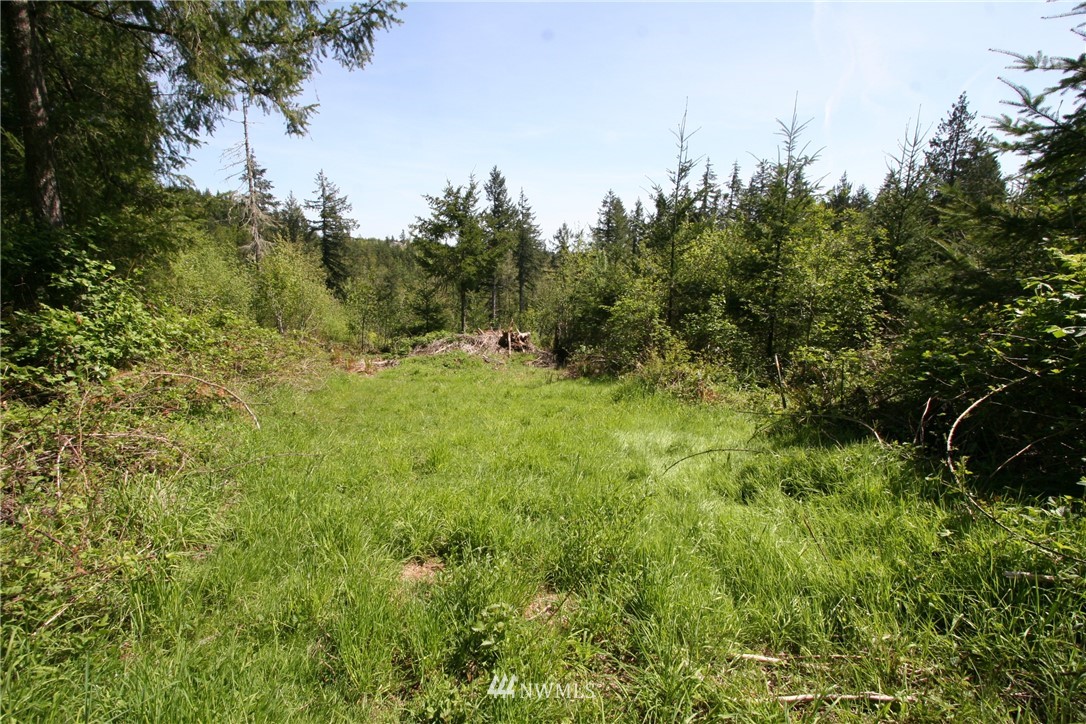 3687 Cooks Hill Road Centralia, WA 98531 - Photo 6 of 10 Gallery Image 6