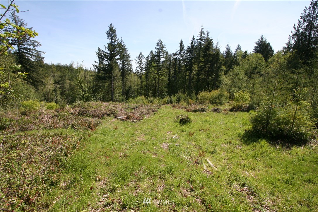3687 Cooks Hill Road Centralia, WA 98531 - Photo 7 of 10 Gallery Image 7
