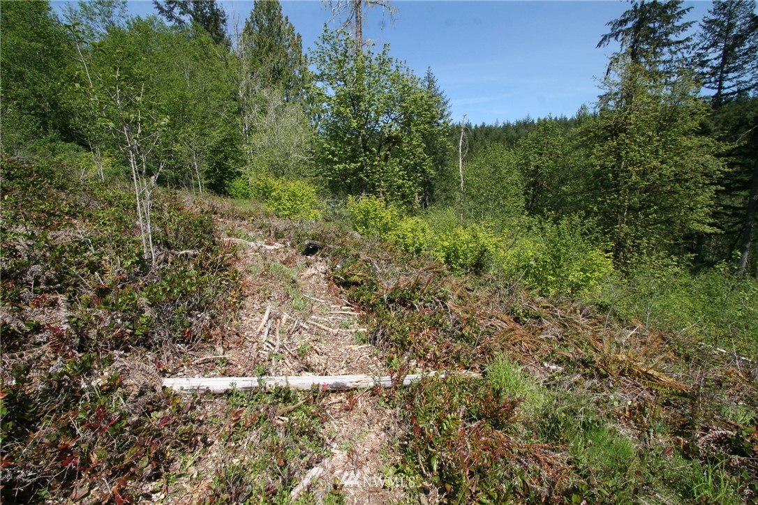 3687 Cooks Hill Road Centralia, WA 98531 - Photo 9 of 10 Gallery Image 9