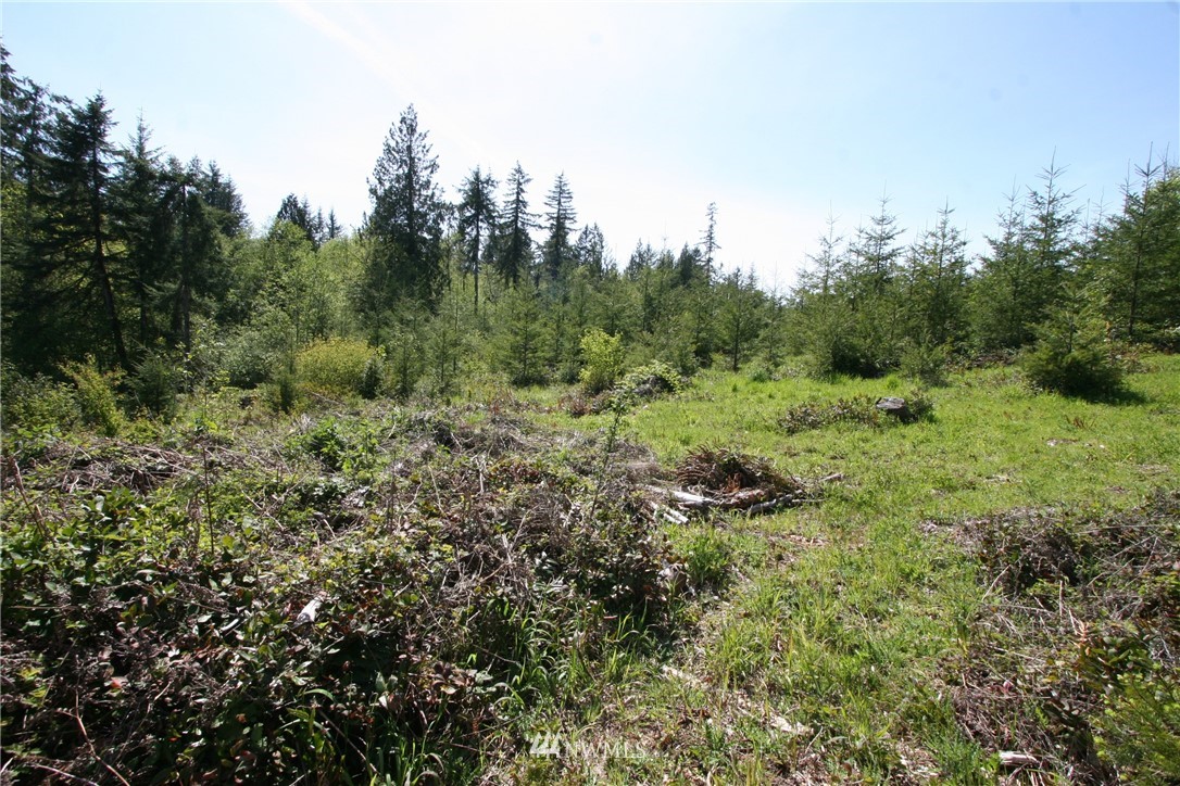 3687 Cooks Hill Road Centralia, WA 98531 - Photo 10 of 10 Gallery Image 10