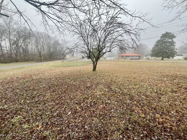 a view of yard with trees