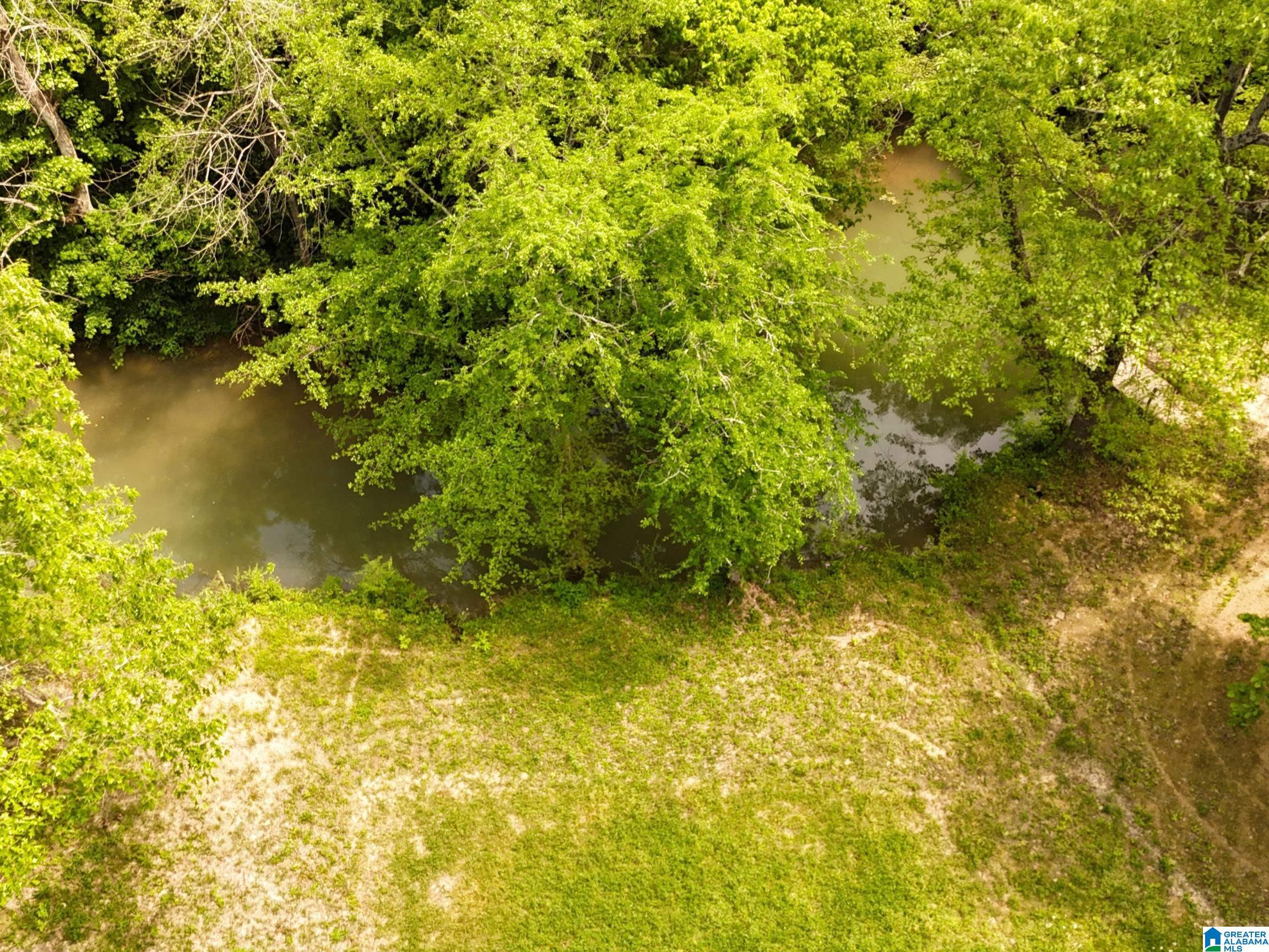 1336 Estes Road Piedmont, AL 36272 - Photo 14 of 50