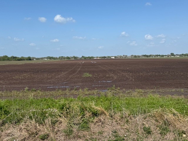 0 Tx Spur-10 Road Rosenberg, TX 77471 - Photo 6 of 10 a view of a lake from a yard