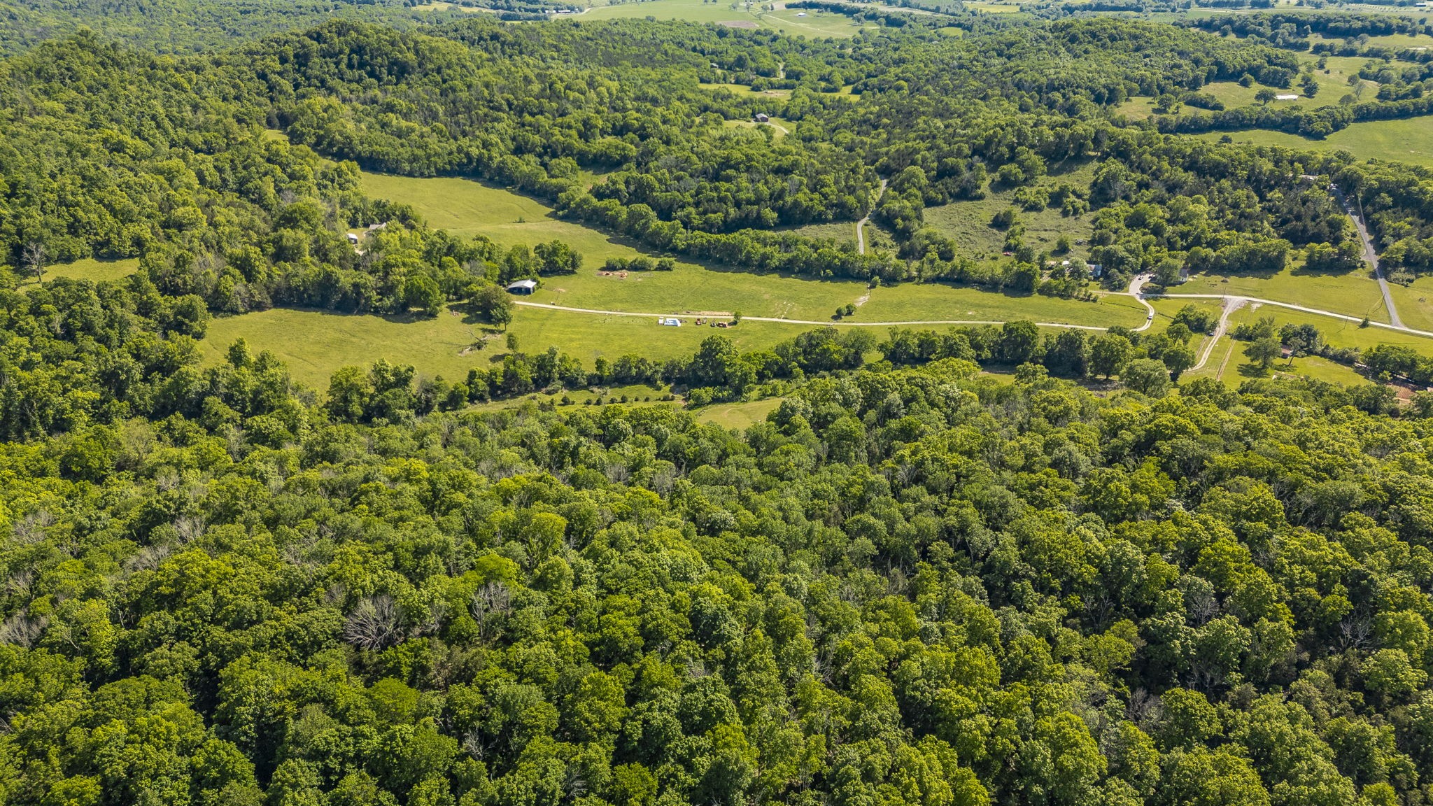 73 Shoulders Road Dixon Springs, TN 37057 - Photo 11 of 54