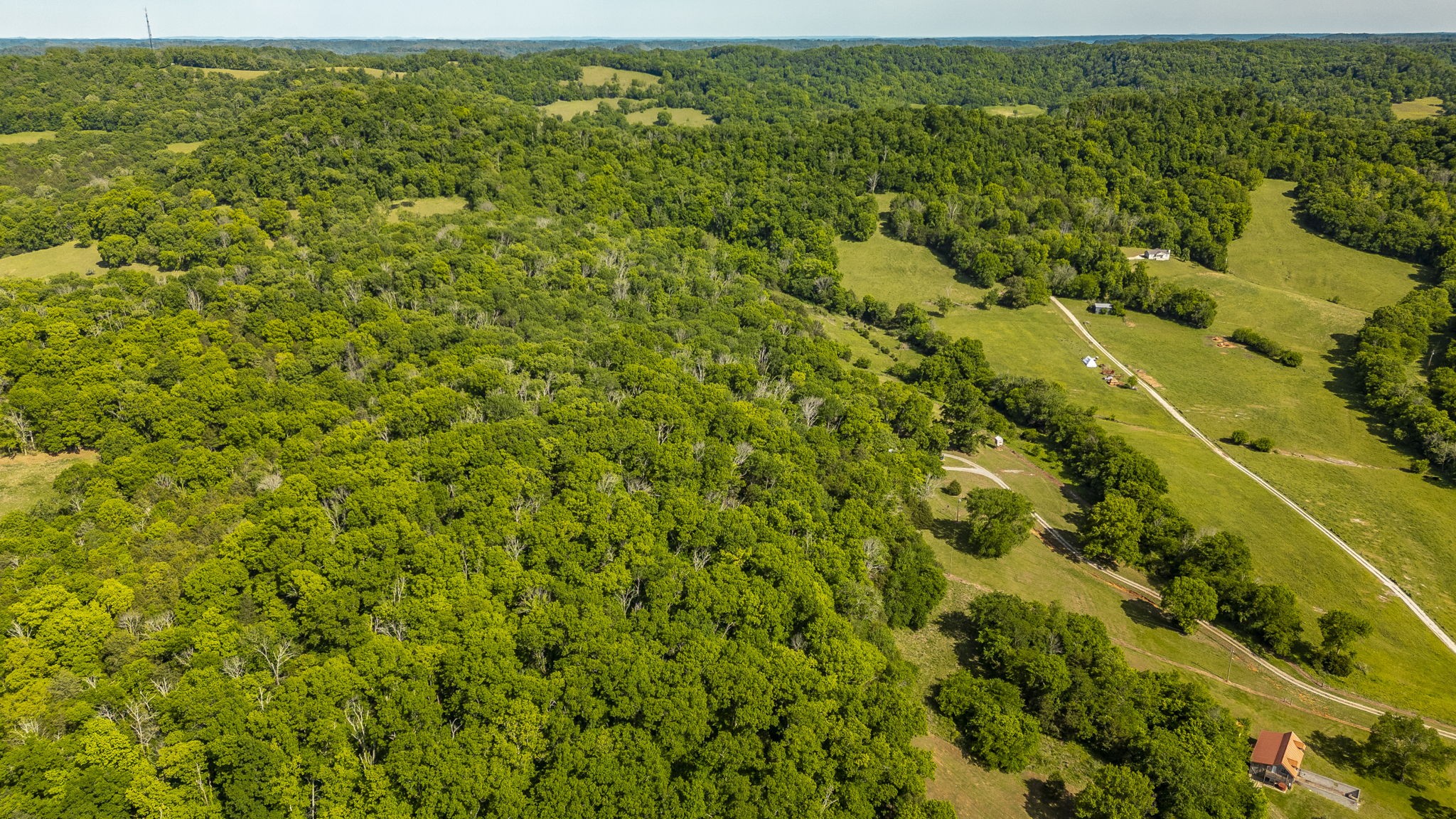 73 Shoulders Road Dixon Springs, TN 37057 - Photo 14 of 54