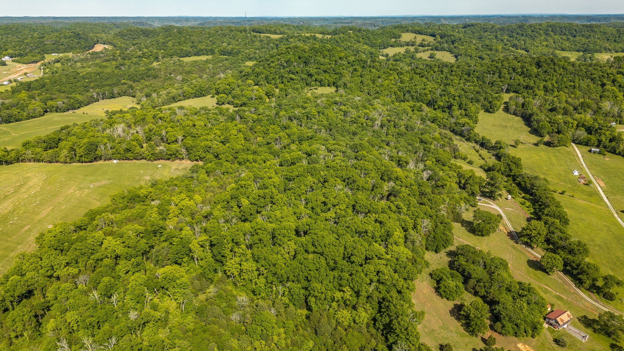 73 Shoulders Road Dixon Springs, TN 37057 - Photo 15 of 54