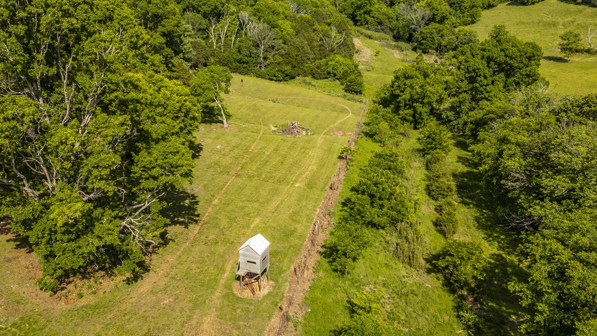 73 Shoulders Road Dixon Springs, TN 37057 - Photo 20 of 54