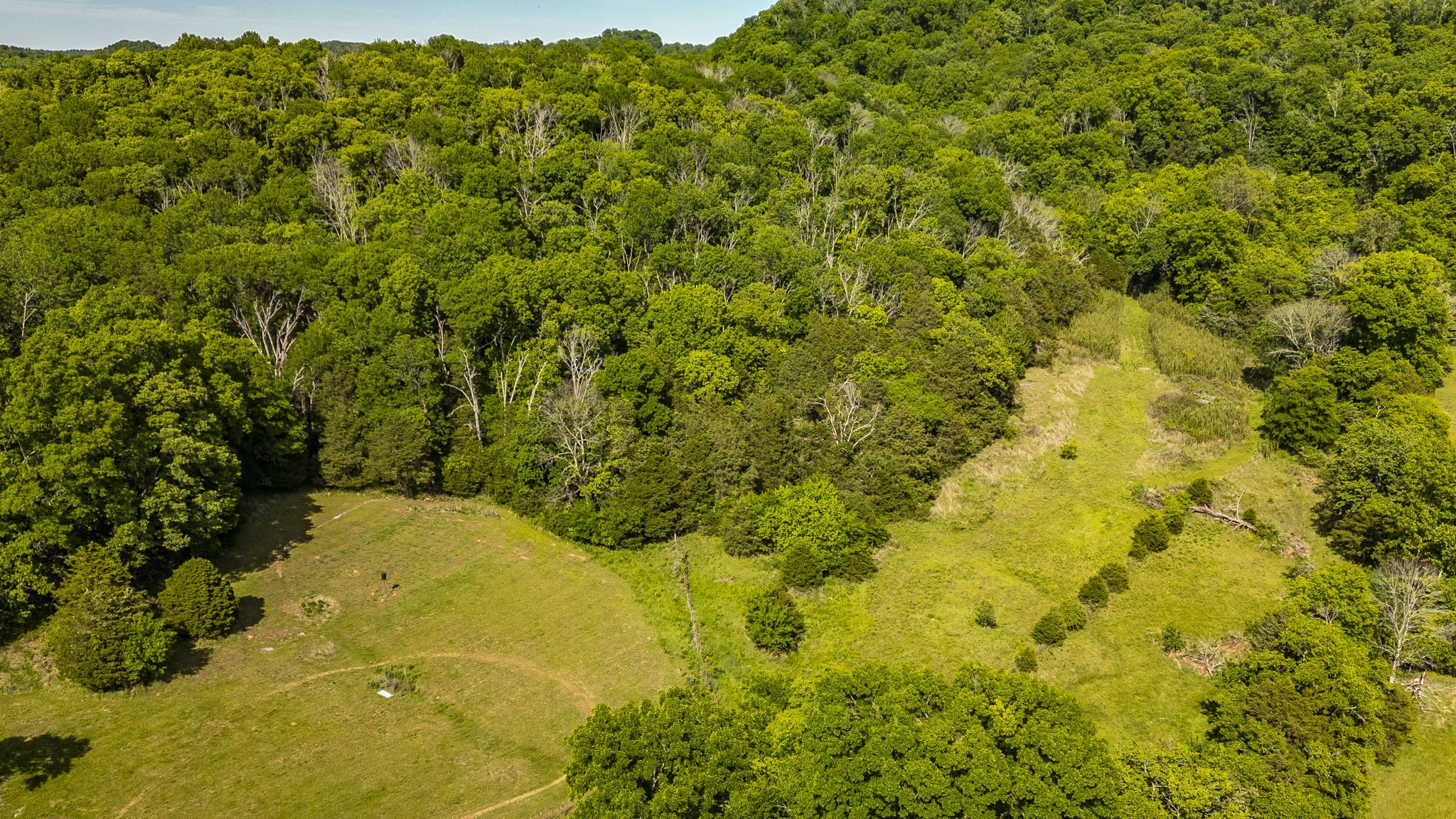 73 Shoulders Road Dixon Springs, TN 37057 - Photo 22 of 54
