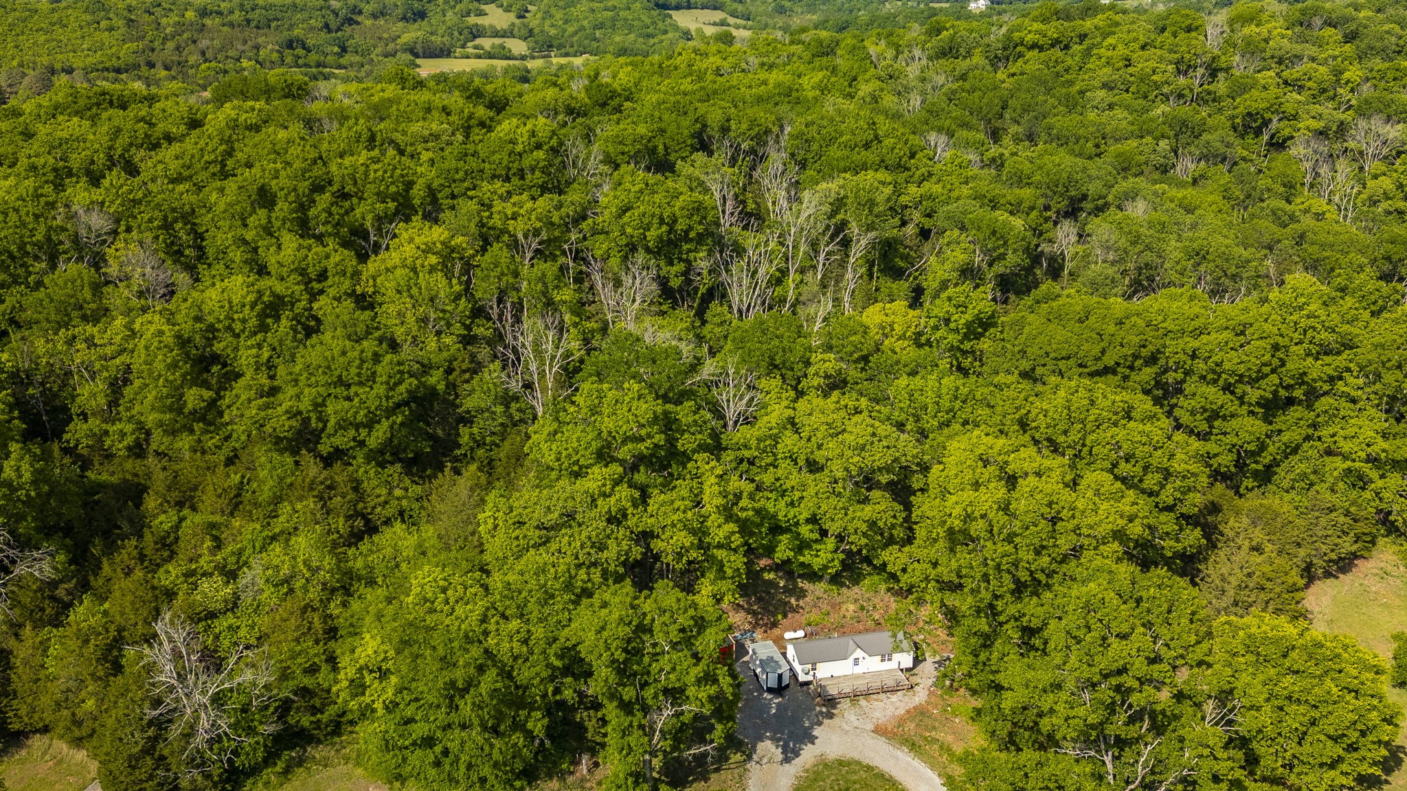 73 Shoulders Road Dixon Springs, TN 37057 - Photo 24 of 54