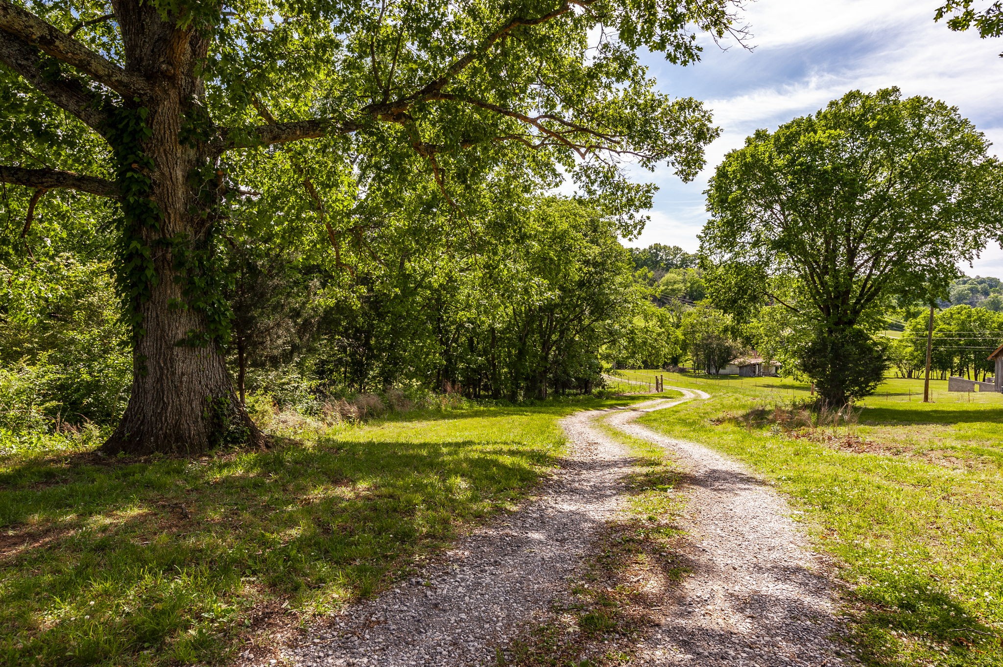 73 Shoulders Road Dixon Springs, TN 37057 - Photo 27 of 54
