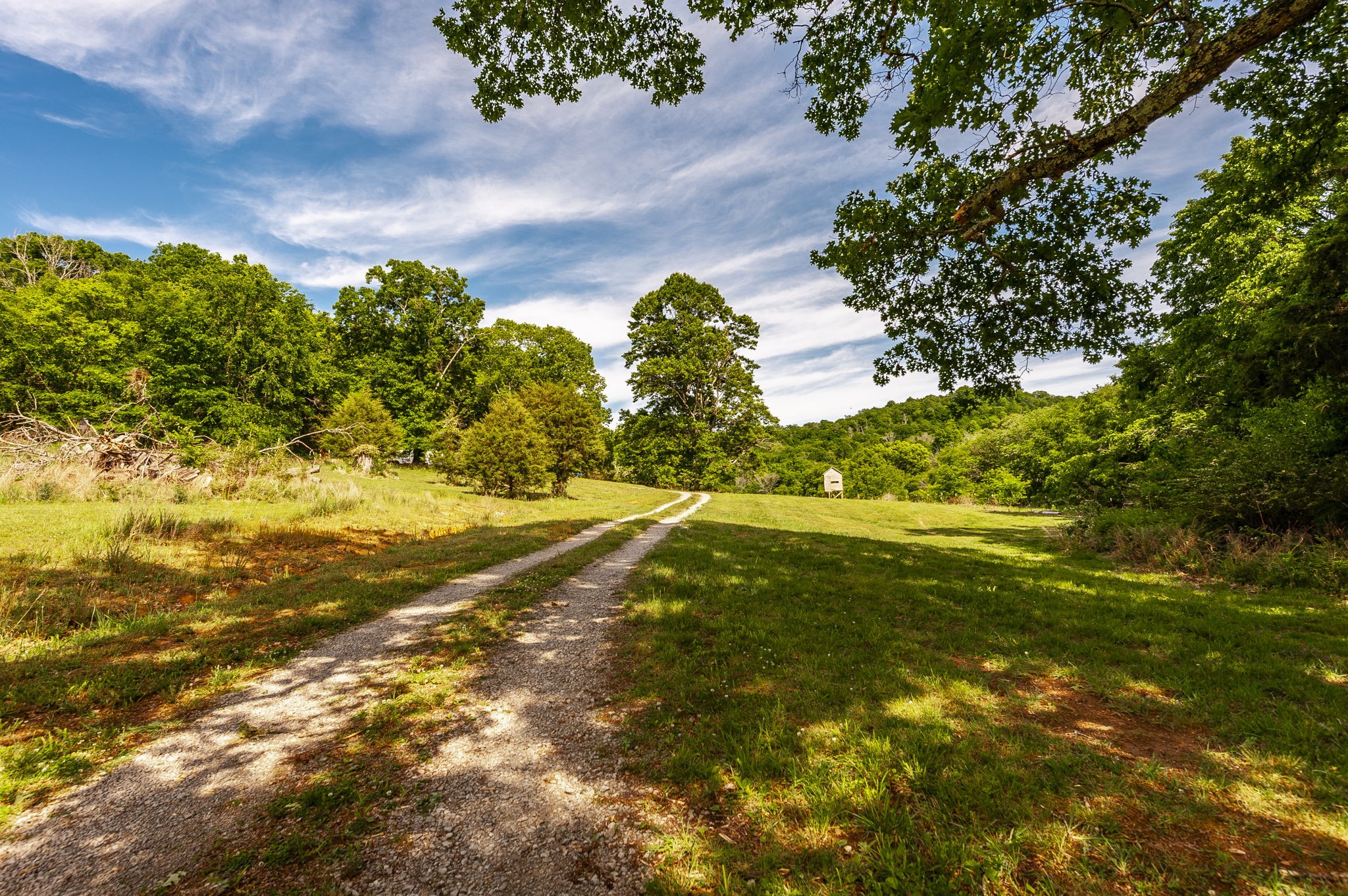 73 Shoulders Road Dixon Springs, TN 37057 - Photo 28 of 54