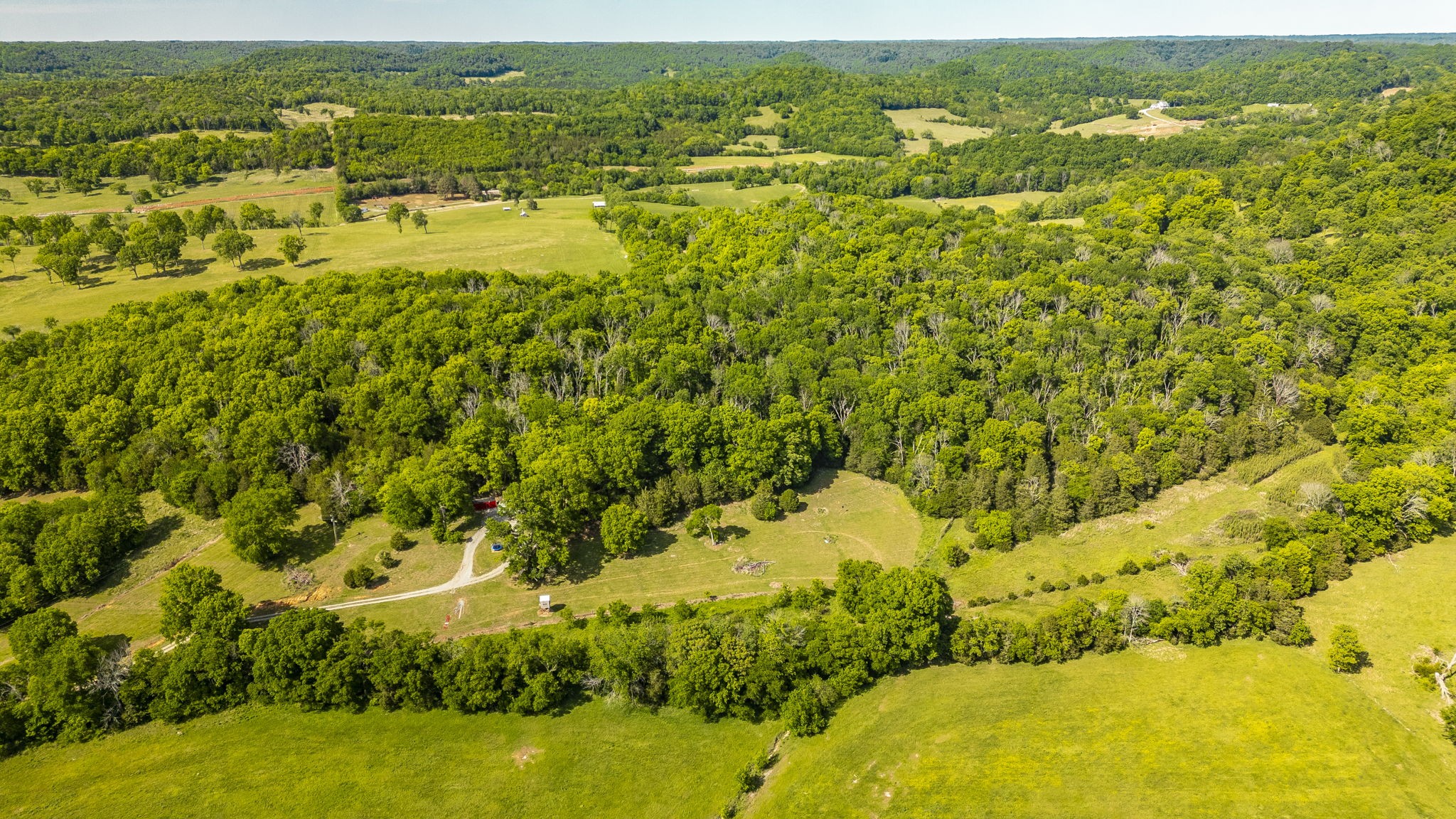 73 Shoulders Road Dixon Springs, TN 37057 - Photo 3 of 54