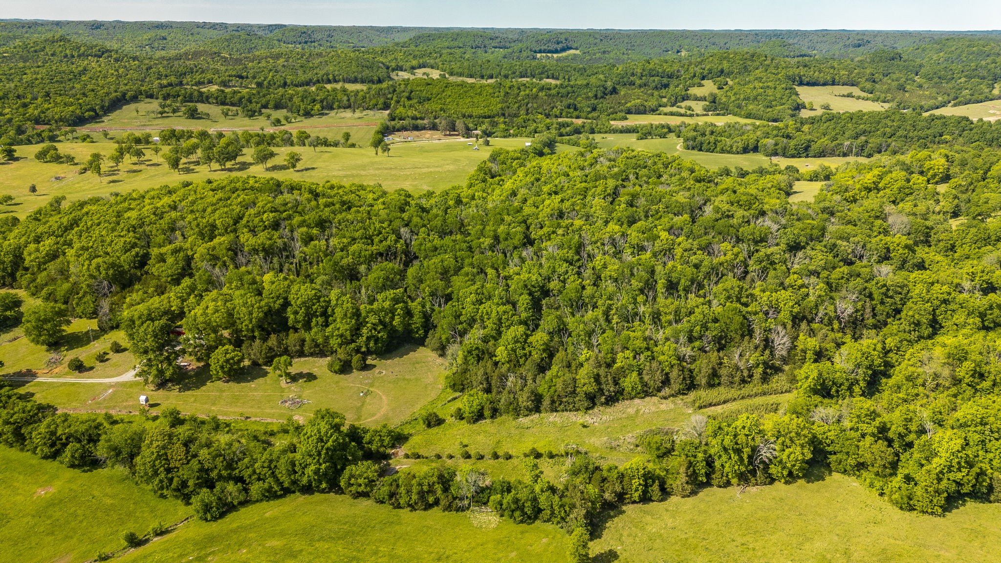 73 Shoulders Road Dixon Springs, TN 37057 - Photo 4 of 54