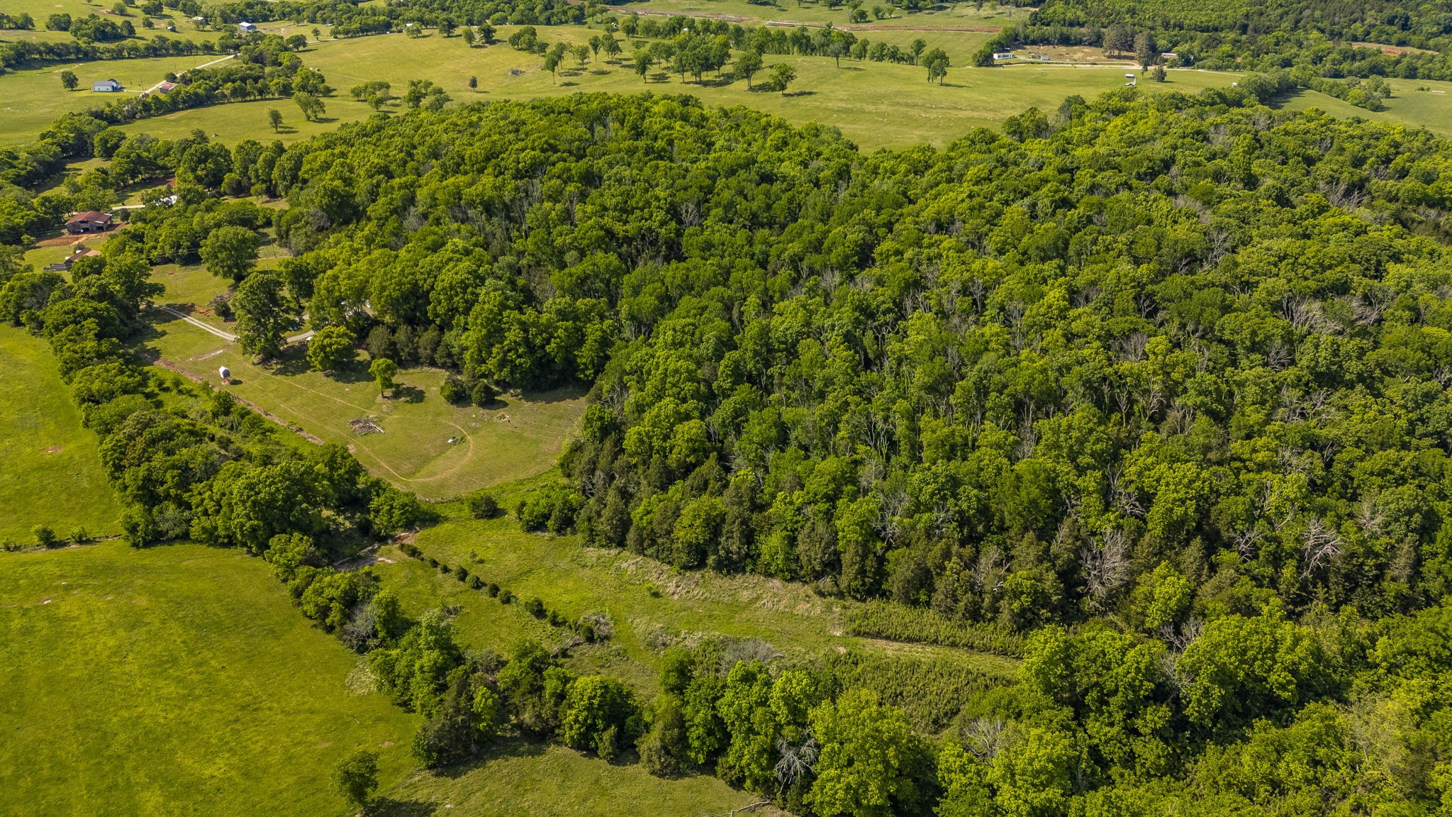 73 Shoulders Road Dixon Springs, TN 37057 - Photo 6 of 54