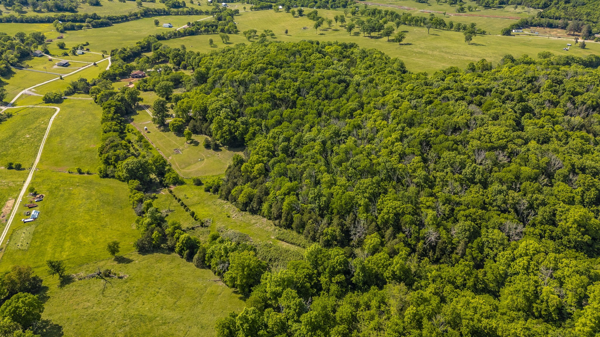 73 Shoulders Road Dixon Springs, TN 37057 - Photo 7 of 54