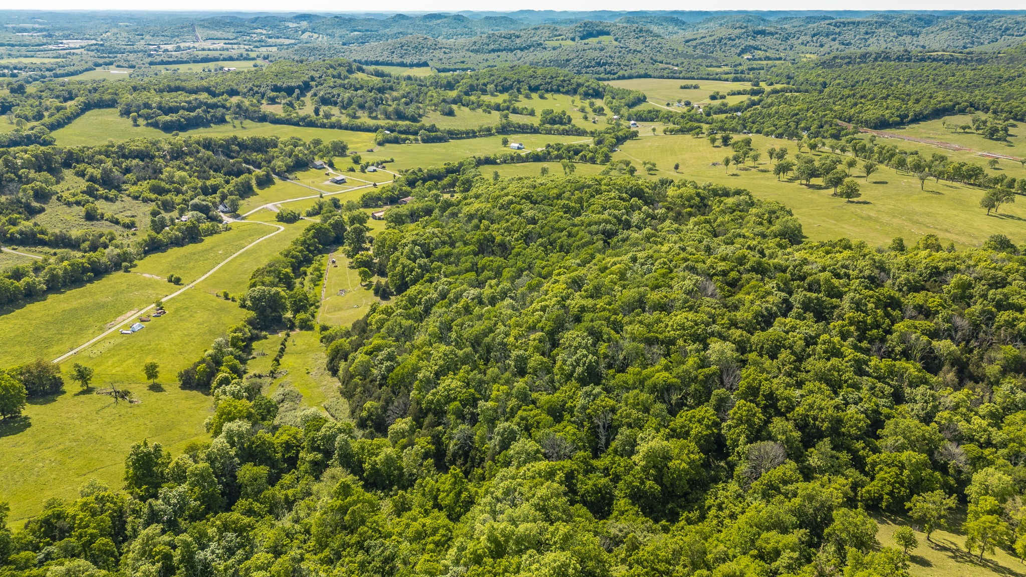 73 Shoulders Road Dixon Springs, TN 37057 - Photo 8 of 54