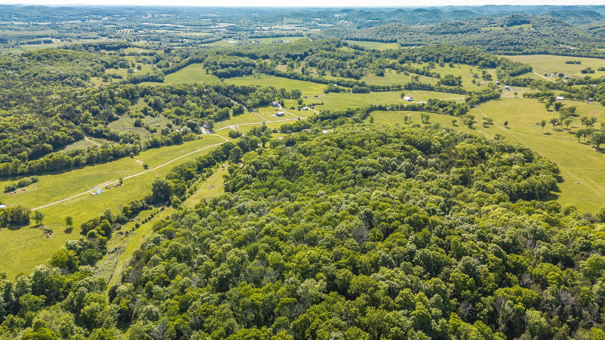 73 Shoulders Road Dixon Springs, TN 37057 - Photo 9 of 54