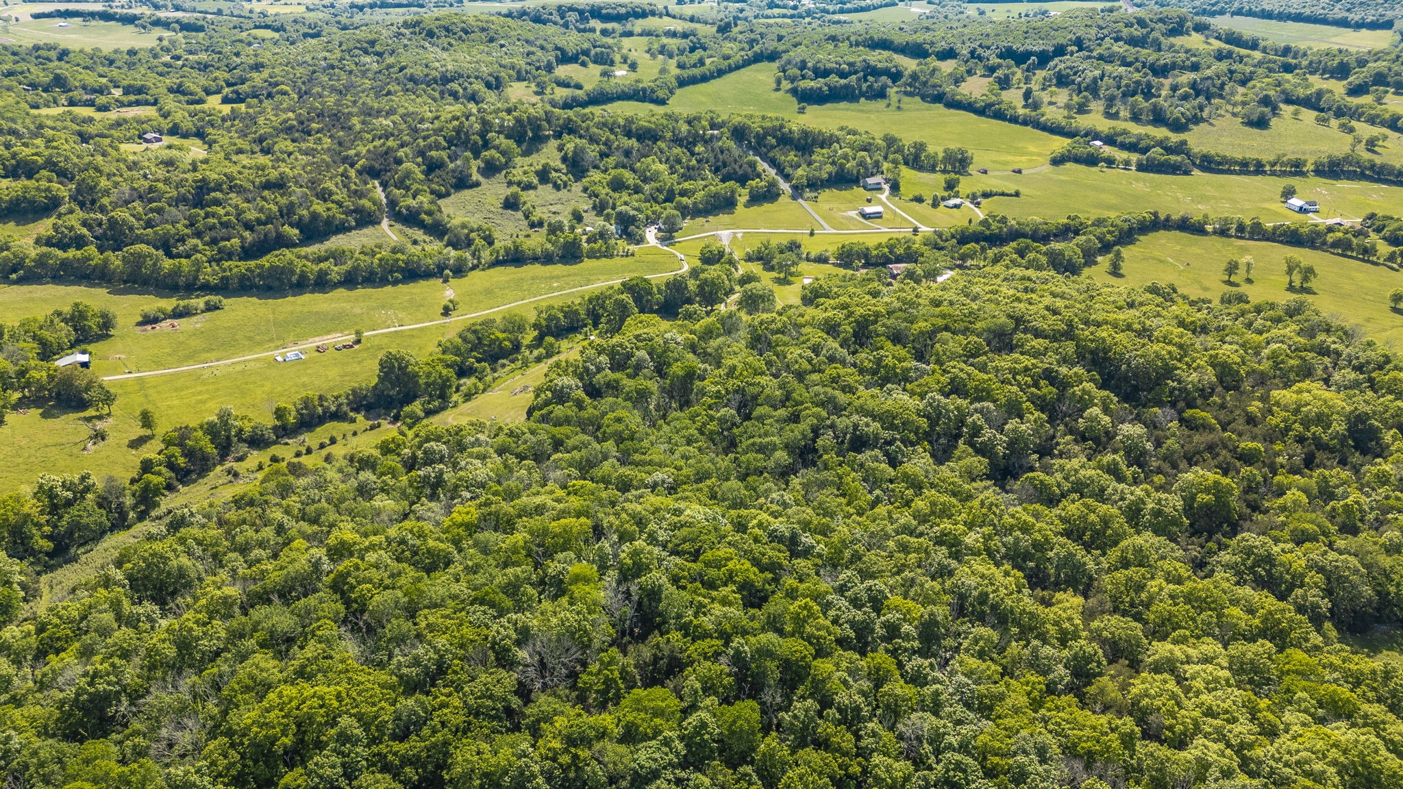 73 Shoulders Road Dixon Springs, TN 37057 - Photo 10 of 54