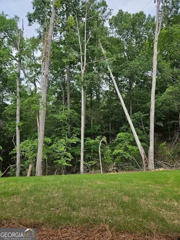 a view of a field with a tree in the background
