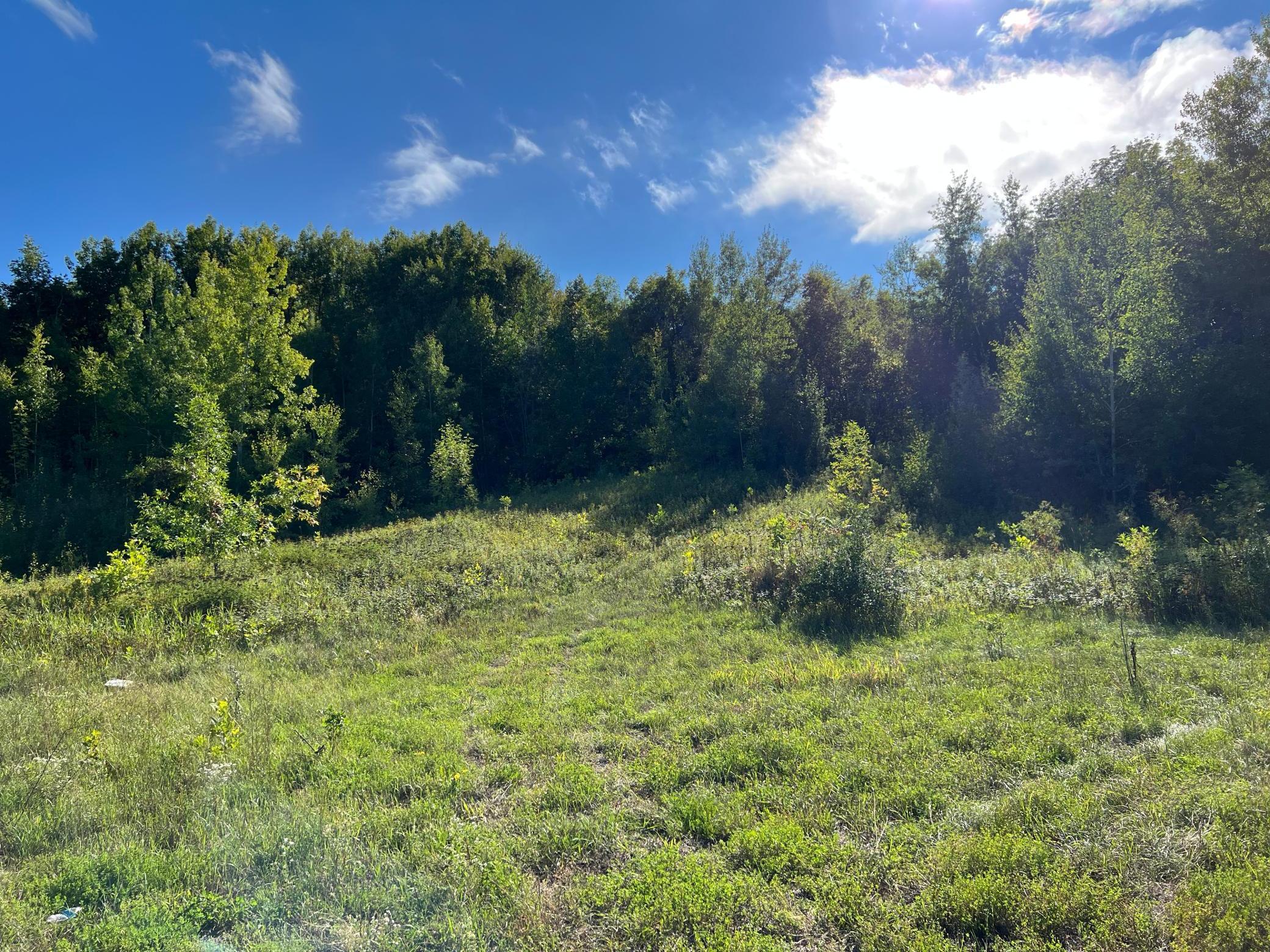 Tbd North Tower Road Garrison, MN 56450 - Photo 8 of 13 Gallery Image 8