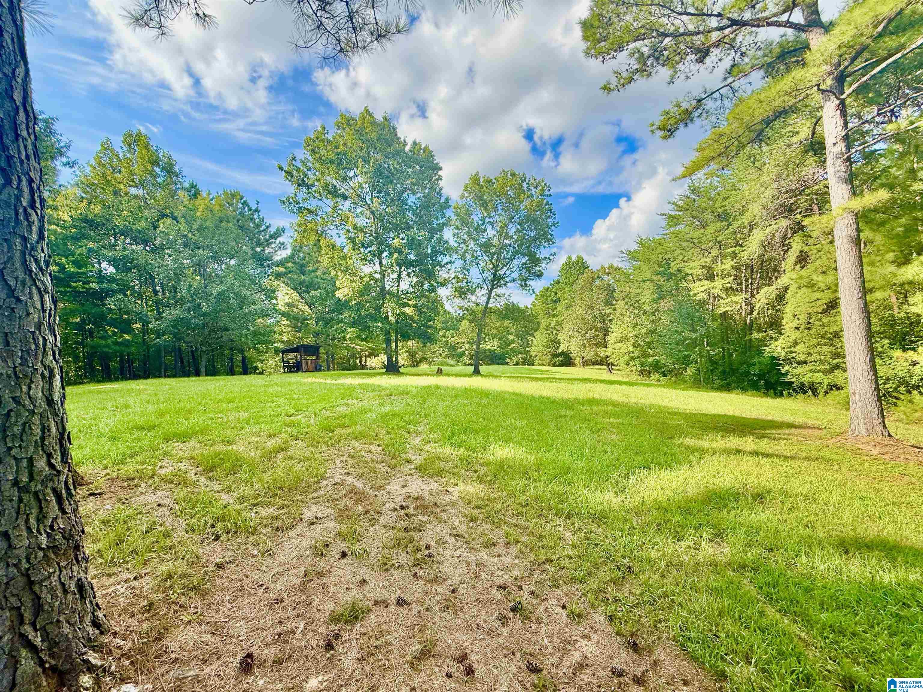 561 Maple Ridge Calera, AL 35040 - Photo 42 of 71