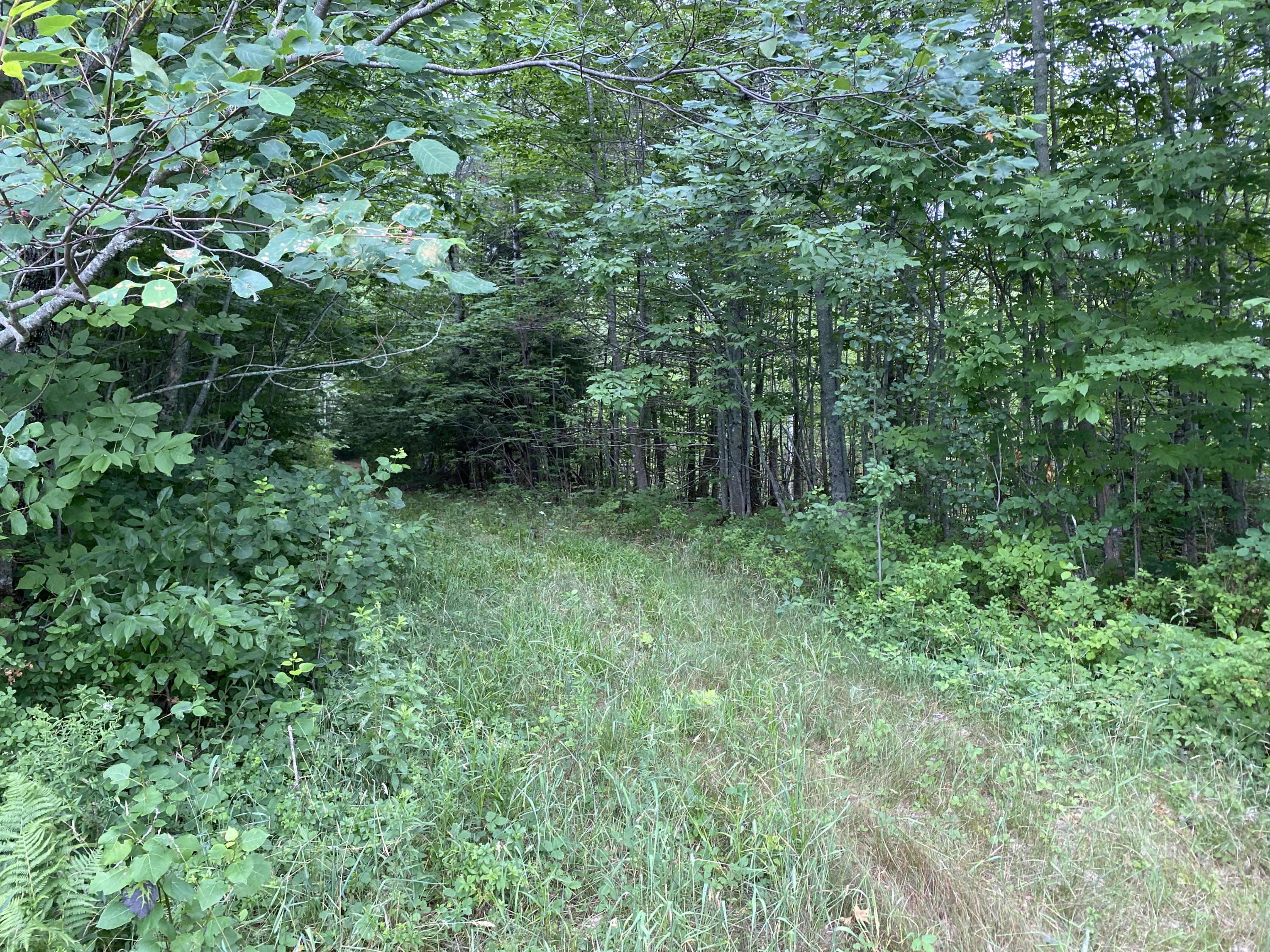 0 Hwy 15 Dover Road Charleston, ME 04422 - Photo 20 of 20 IMG_1392
