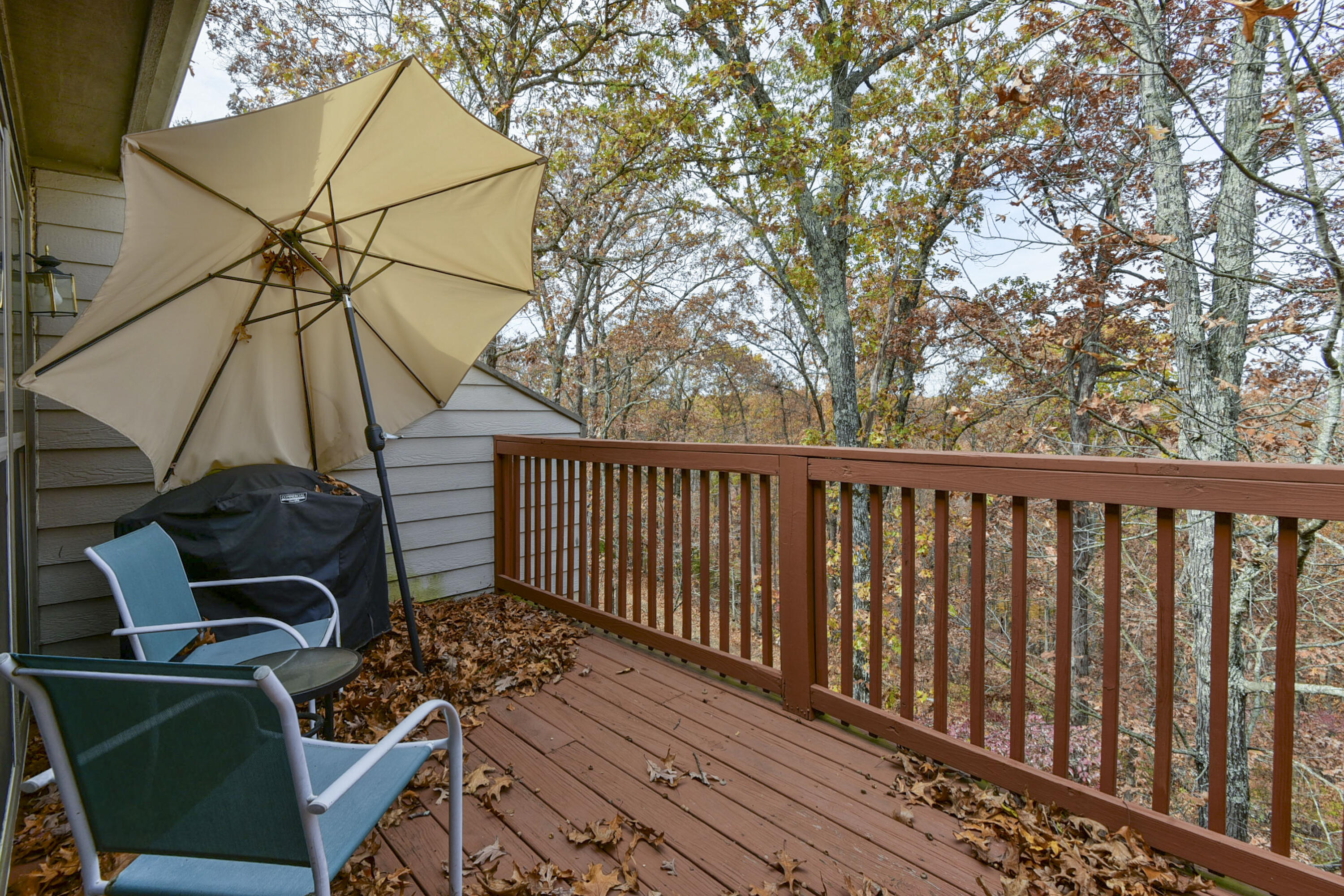 154 Oak Lane, Unit 154 Reeds Spring, MO 65737 - Photo 21 of 21 DSC_4928