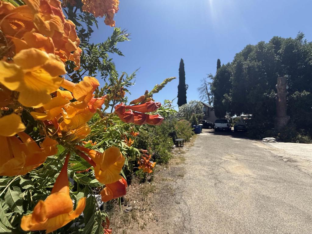 39182 Daily Road Fallbrook, CA 92028 - Photo 34 of 50