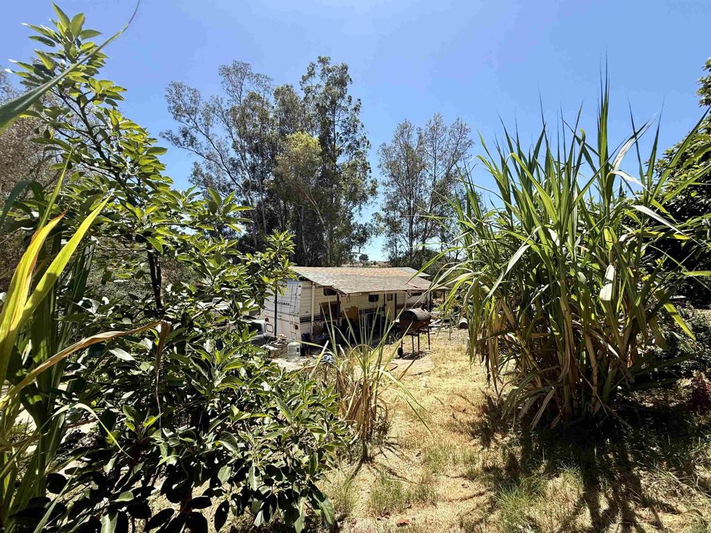 39182 Daily Road Fallbrook, CA 92028 - Photo 37 of 50