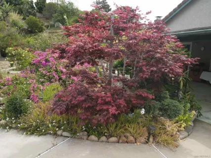 $1,449,000 | 3761 Mt Ashmun Place, San Diego, CA 92111