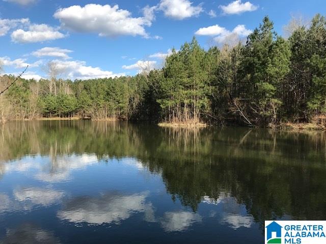 3111 Jackson Road, Unit 75 ACRES Pinson, AL 35126 - Photo 1 of 16