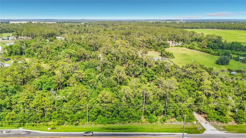 8338 Handcart Road Dade City, FL 33525 - Photo 24 of 96