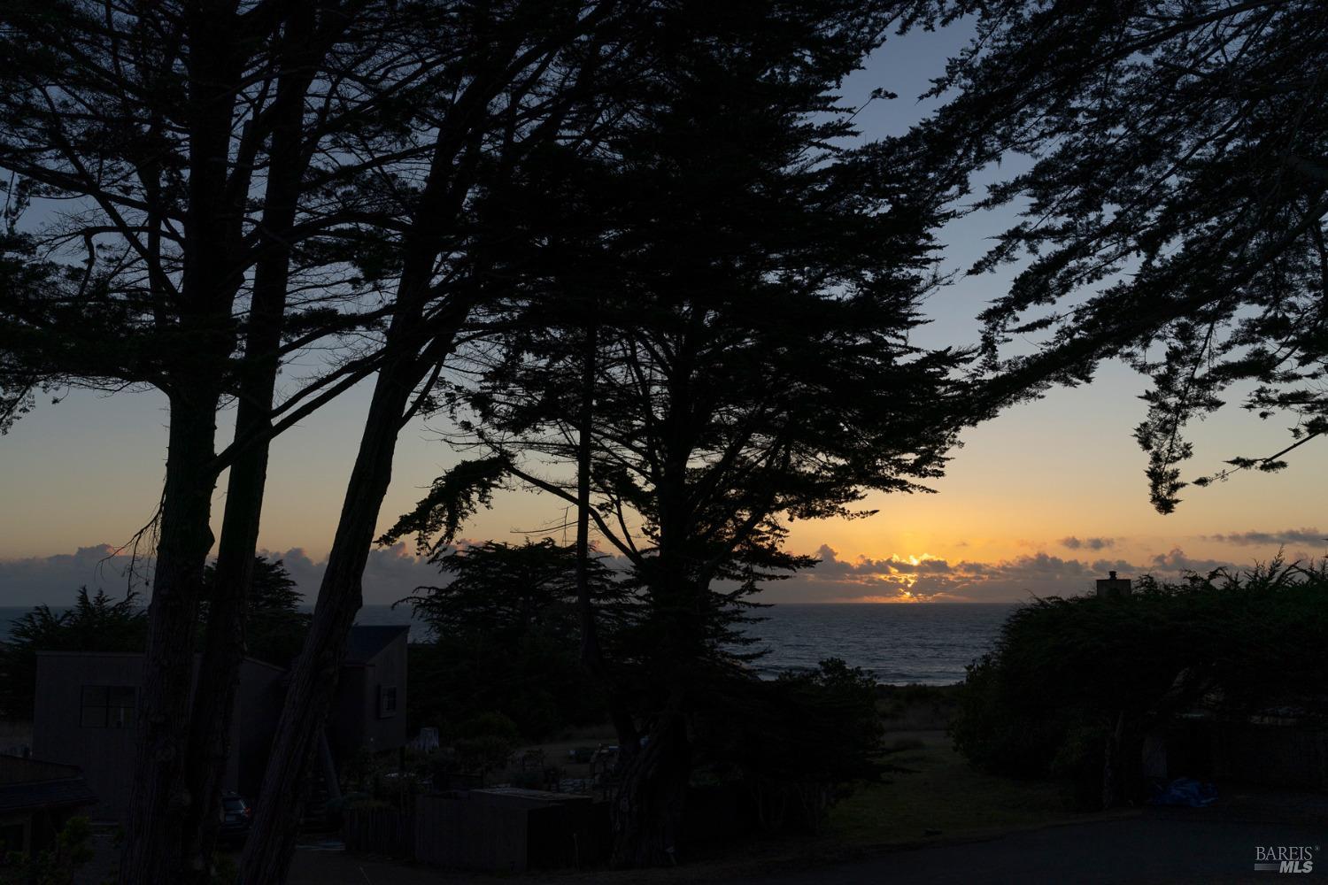116 Shepherds Close The Sea Ranch, CA 95497 - Photo 55 of 65 a view of tree