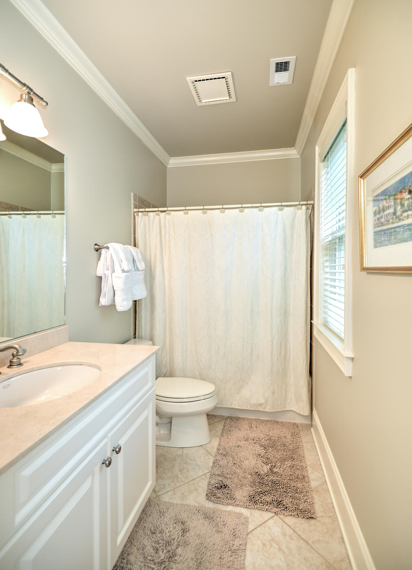 210 Little Palm Loop Mount Pleasant, SC 29464 - Photo 17 of 22 BA 3