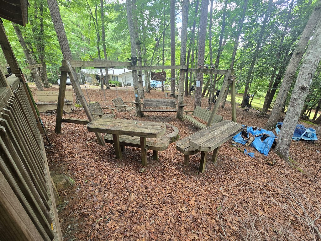 64 Green Oak Road Warne, NC 28909 - Photo 4 of 55