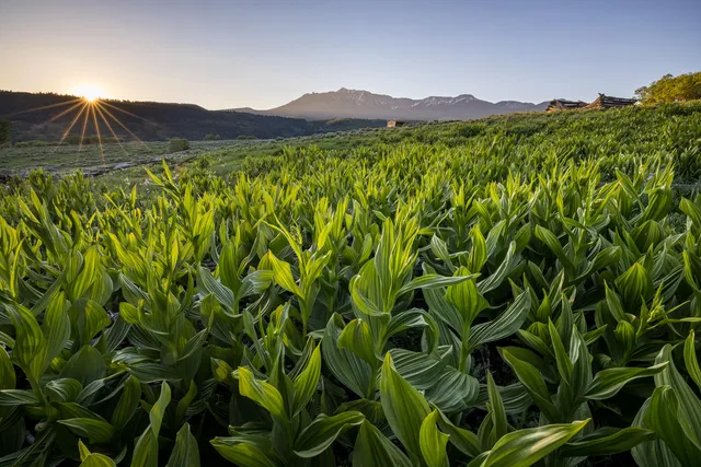 a view of a lush green mountain with a mountain in the background
