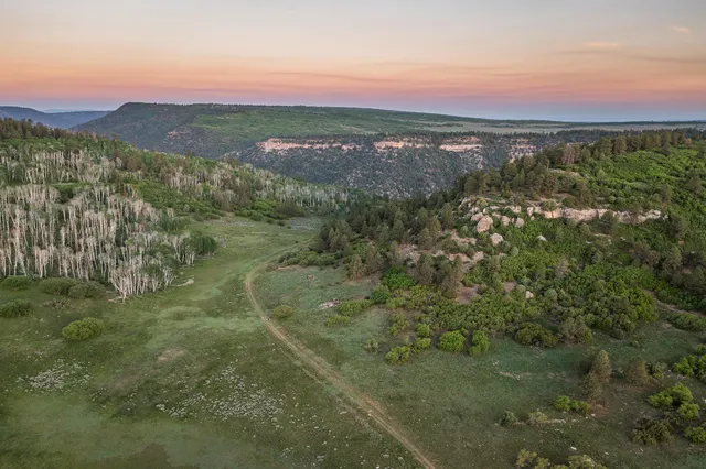 a view of a city with lush green forest