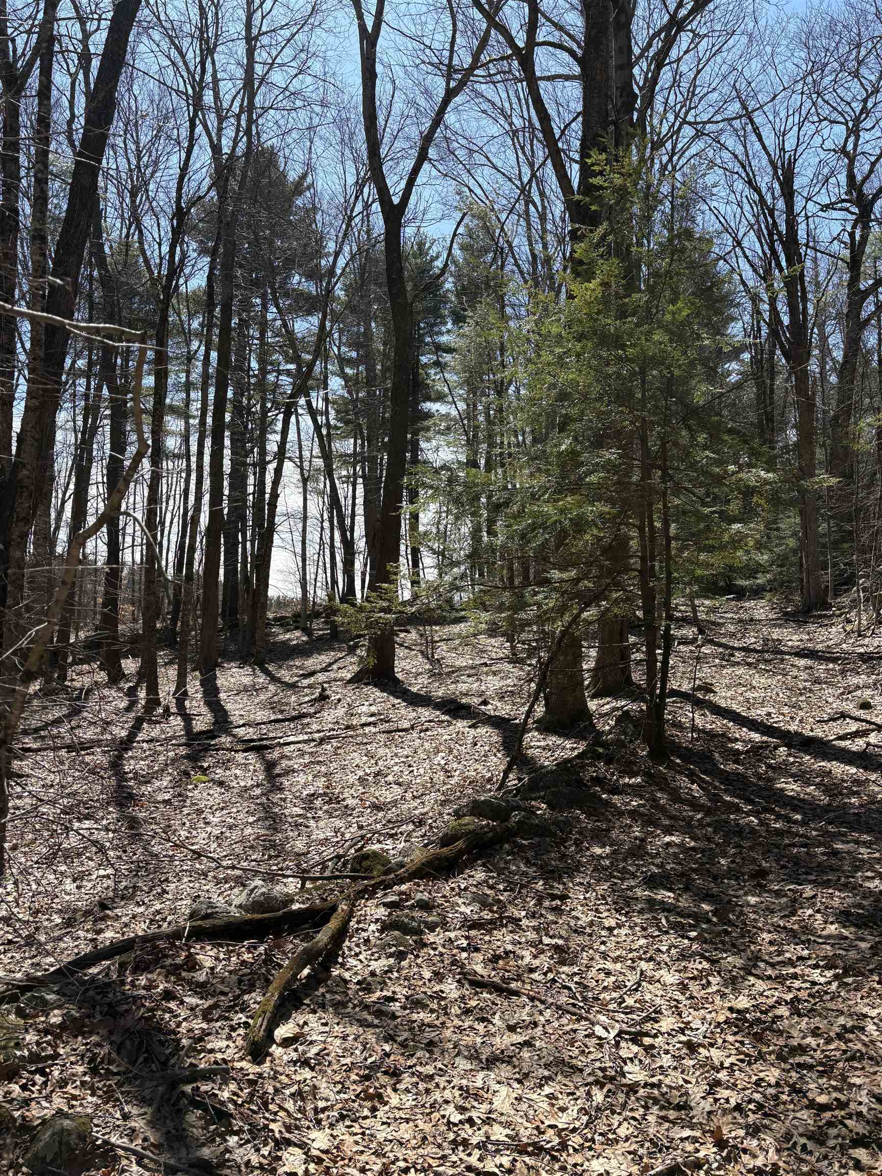 79-1 Currier Road Candia, NH 03034 - Photo 21 of 33