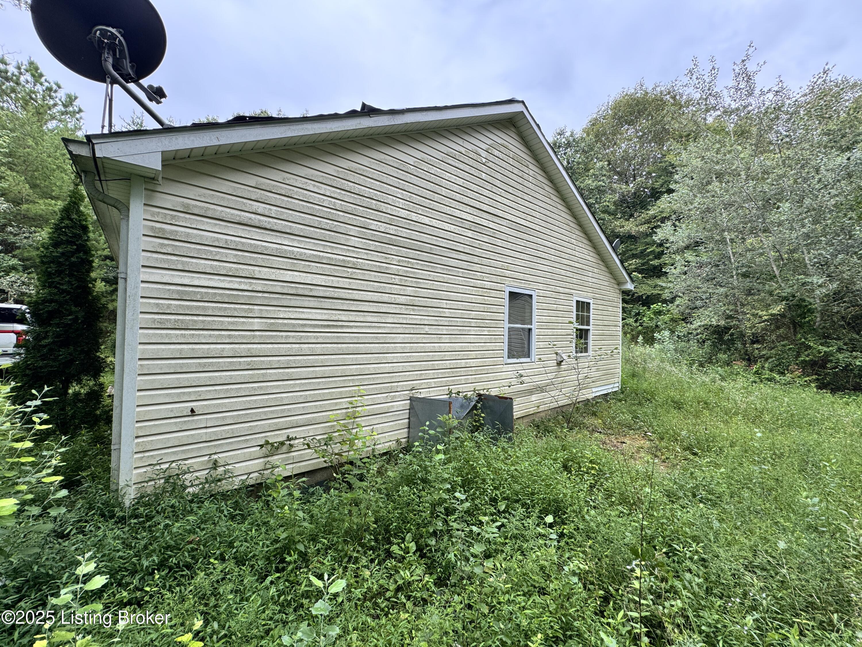 12133 Caneyville Road Caneyville, KY 42721 - Photo 5 of 19 5