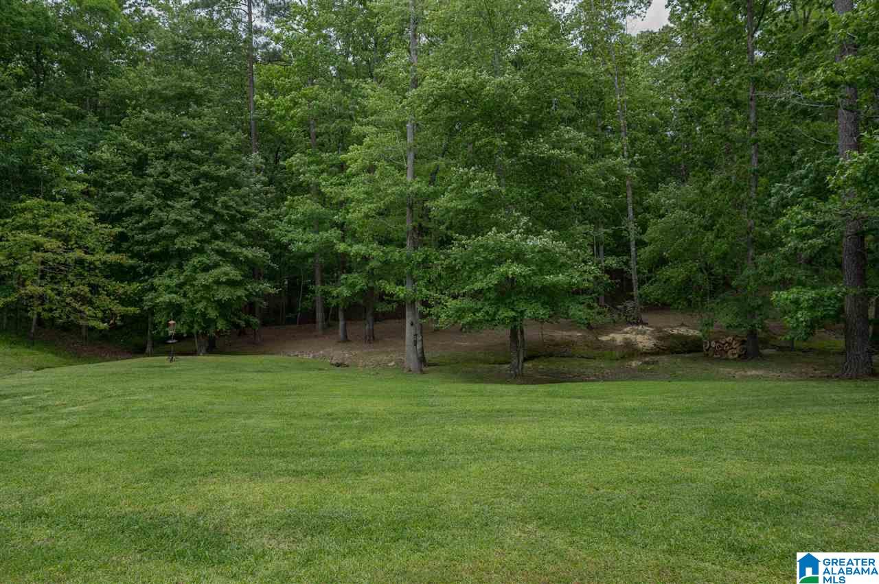 113 Shetland Trail Alabaster, AL 35007 - Photo 48 of 50