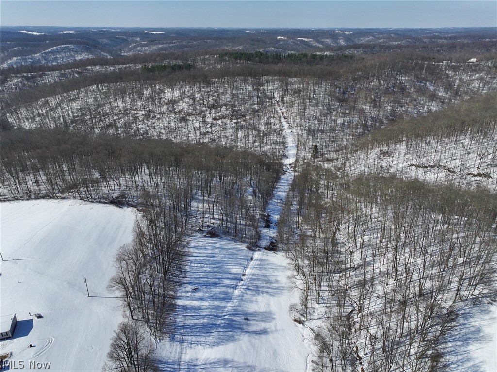 0 Tract 4 Twp Road Woodsfield, OH 43793 - Photo 14 of 34