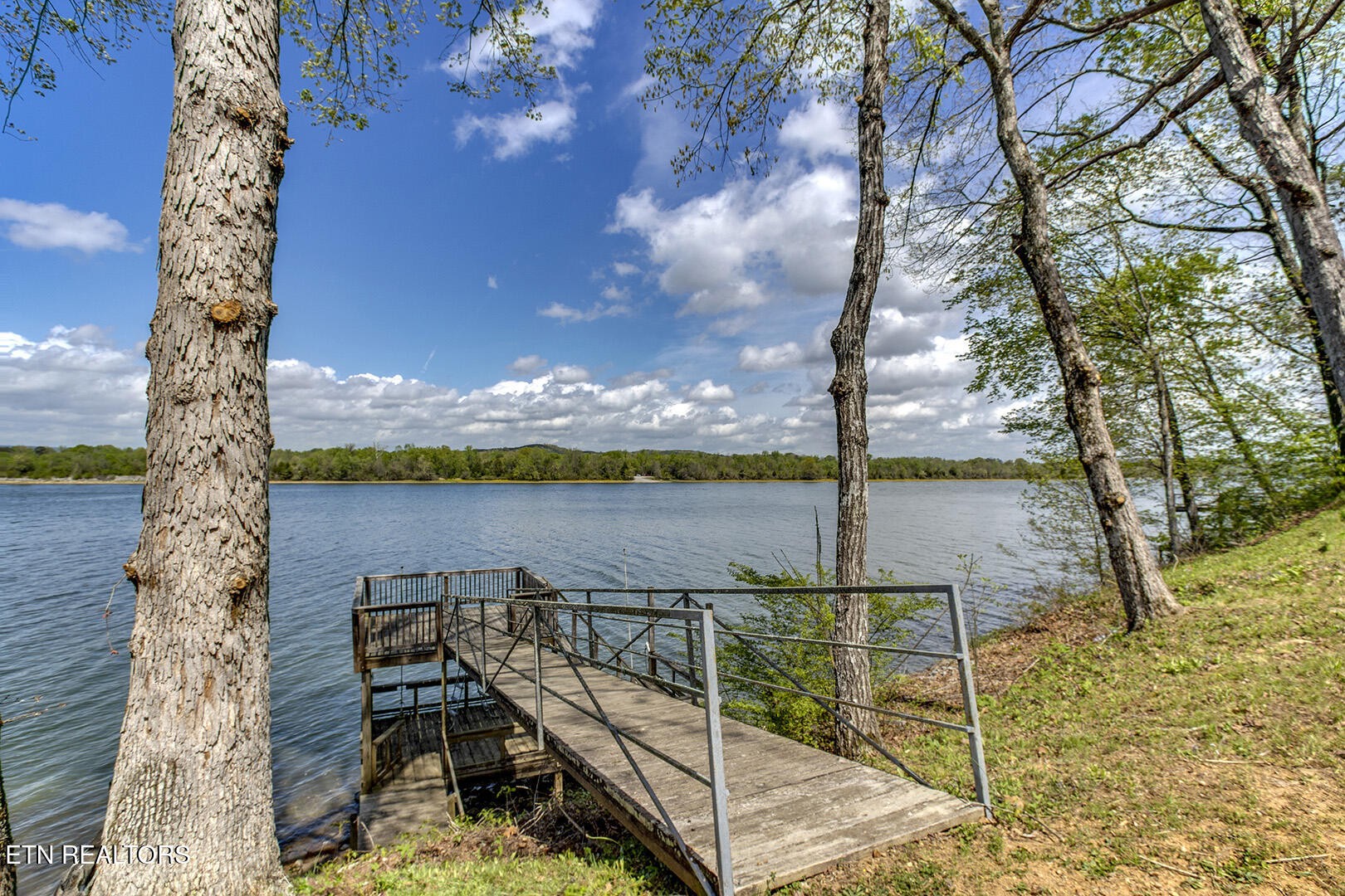 609 Lakewood Drive Decatur, TN 37322 - Photo 45 of 60 a view of a lake with a tree