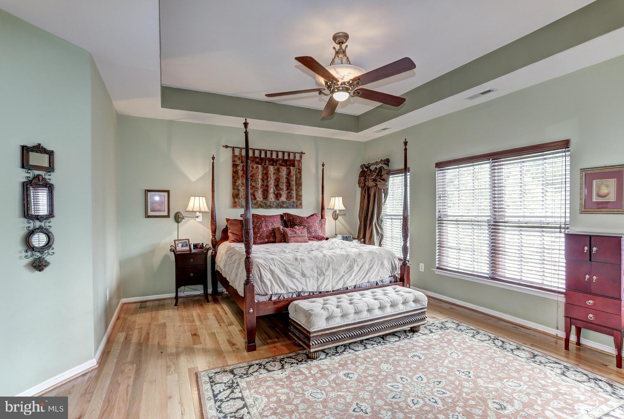 9070 Roaring Spring Loop Bristow, VA 20136 - Photo 17 of 30 Tray ceilings in Master Bedroom