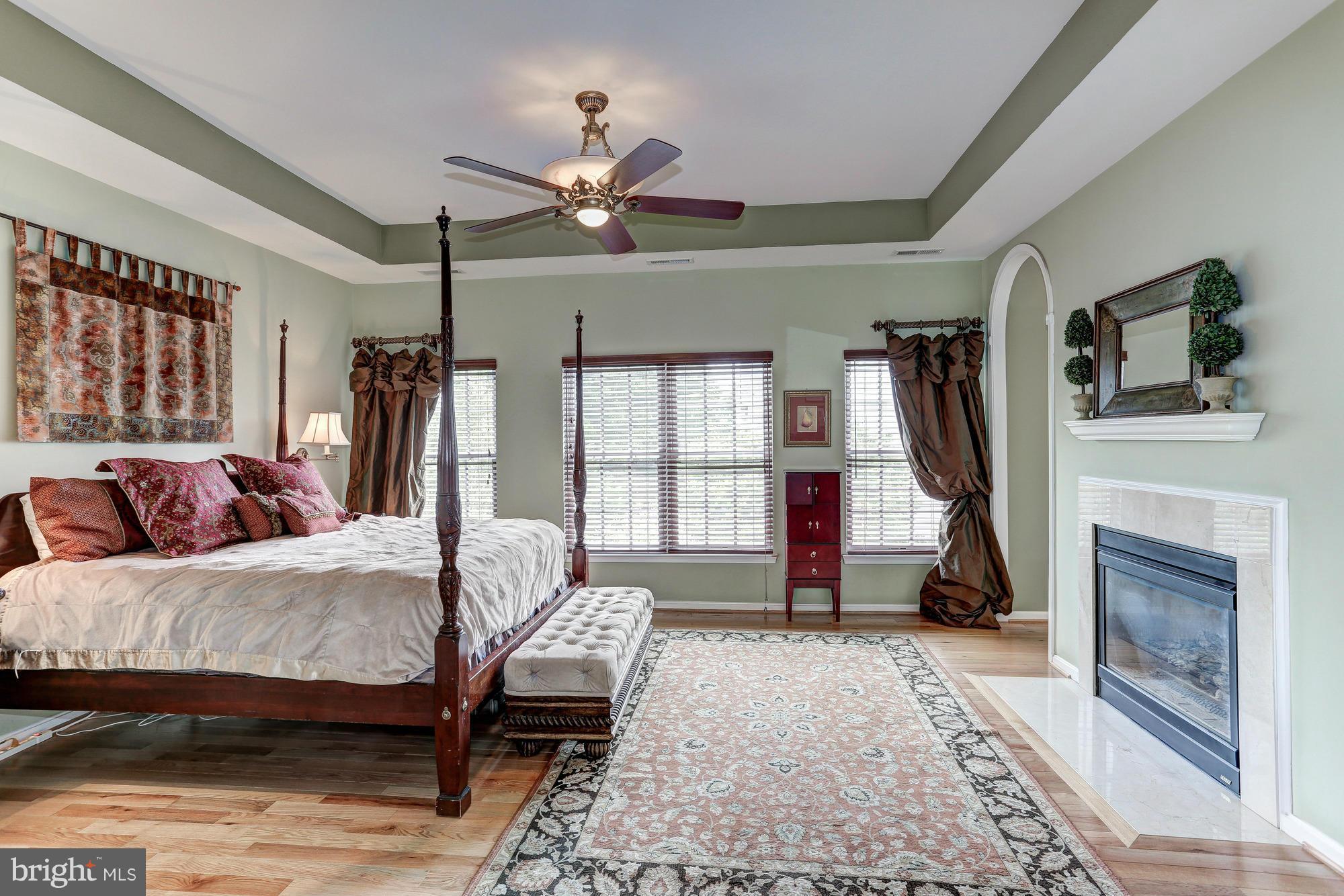 9070 Roaring Spring Loop Bristow, VA 20136 - Photo 18 of 30 Cozy fireplace in Master Suite