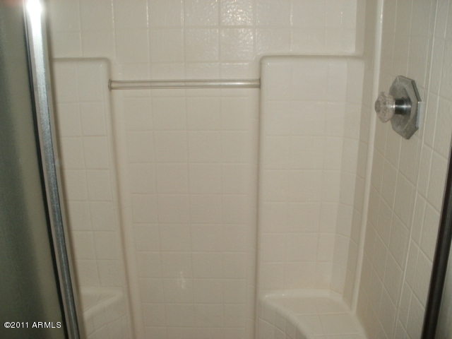 1916 East Darrel Road Phoenix, AZ 85042 - Photo 20 of 25 MstrShower